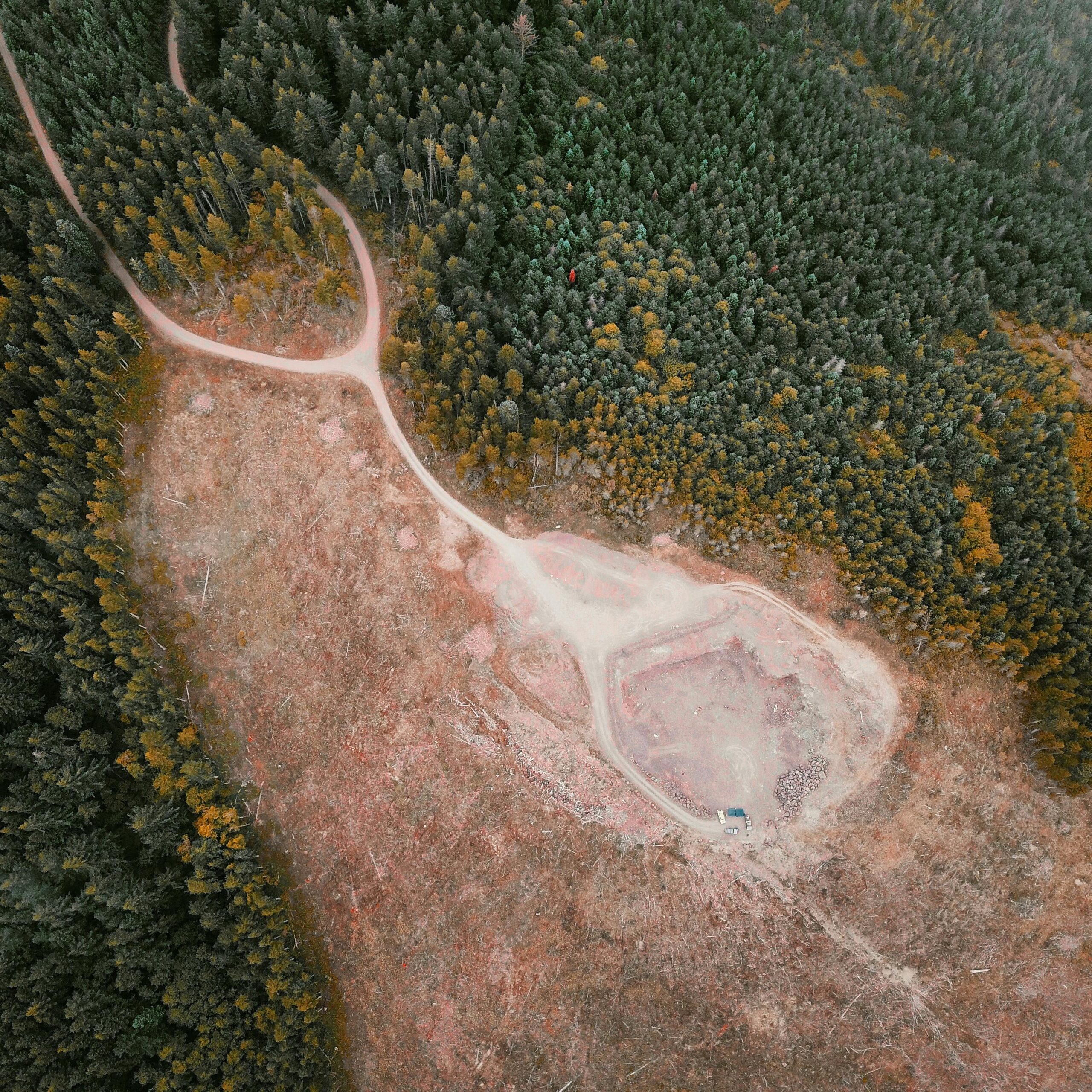 Drone image showing clearcutting and deforestation in a coniferous forest landscape.