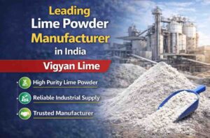Leading Lime Powder Manufacturer in India – Vigyan Lime
